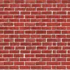 jonah_the_wall - @jonah_the_wall - TikTok