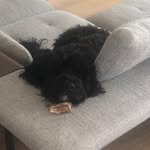 Jonah Wall - @joohn_2008 - Instagram