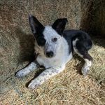 Jonah Warren - @jcwarren28 - Instagram