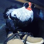 Jonah Warren - @jonah._w - Instagram