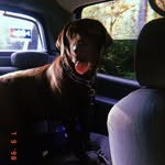 jonah willis - @maxsdaily - Instagram
