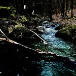 jonas alt - @laser_jonas123 - Instagram