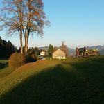 Jonas Blank - @jonas_bl75 - Instagram