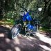 Jonas Blank - Facebook