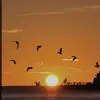 Jonas Castillo - @jonas.castillo15 - TikTok