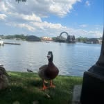 Jonas Davis - @jonas_davis_2008 - Instagram