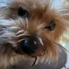 Jonas_durham - @jonas.durham7 - TikTok