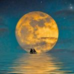 Jonas Freeman - Facebook