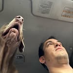Jonas González - @jonaztic - Instagram