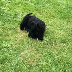 Jonas Harding - Facebook