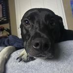 Jonas Harrison - Facebook