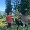 jonashartmann927 - @jonashartmann927 - TikTok