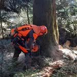 Jonas Hartmann - @jonas_hartmann_05 - Instagram