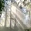 Jonas Henderson - @nina_powell137233 - TikTok