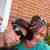Jonas Hobbs - Facebook