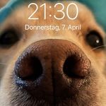 Jonas Huber - @jonas.huber18 - Instagram