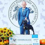 Jonas Johansson - @teoramagic - Instagram