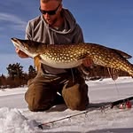 Jonas Johansson - @bataljonas - Instagram
