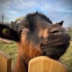 Jonas - @jonas.kentner - Instagram