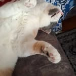 Jonas - @jonas.levin2 - Instagram