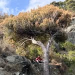 jonas - @jonaslevinludwig - Instagram