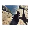 Jonas Li - @jonasli4 - TikTok