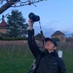 Jonas Mann - @jm_wildpictures - Instagram