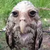 Jonasmannen427 - @jonasmannen427 - TikTok