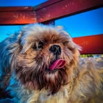 Jonas May - Facebook