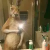 jonas - @jonasrivera137 - TikTok