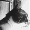 Jonas Rothamel - @jonasrothamel - TikTok