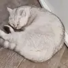Jonas Rothkopf - @jonasrothkopf - TikTok