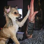 Jonas Schmitt - @jonassschmitt - Instagram