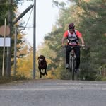 Jonas Ståhl - @jonas.stahl.100 - Instagram