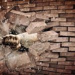 Jonas Steele - @jonas_steele50 - Instagram