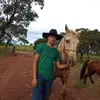 Jonas Vargas - @vargasjonas3 - TikTok