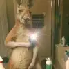 J O N A S ♡ - @jonas.vega17 - TikTok