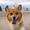 jonaswangq - @jonaswangq - TikTok