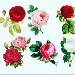 Jonas Watson Rebecca N. - @watsonrebecca45 - Instagram