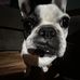 Jonas Weezer - Facebook