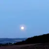 Jonas - @jonas.odenweller4 - TikTok