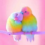 Westbroock Jonas - Facebook