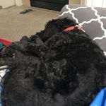 jonas - @jonas._.williams - Instagram