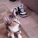 Jonas Willis - Facebook