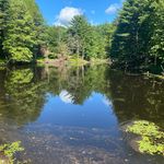 Jonas Willson Real Estate Broker - @realtorjonaswillson - Instagram