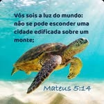 Jonas Wilson - @jonaswilson180 - Instagram