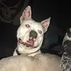 JonasWilson2169 - @jonaswilson2169 - TikTok