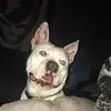 jonaswilson97 - @jonaswilson97 - TikTok