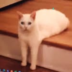 @jon.aswinter - Instagram
