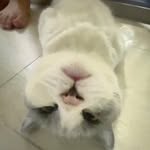 Jonas - @j.o.n.a.s_w.o.n.g - Instagram